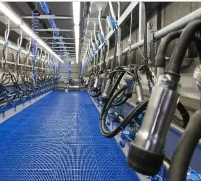 Conventional Milking Parlours